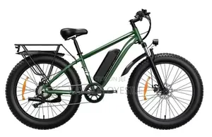 Electric Bicycle