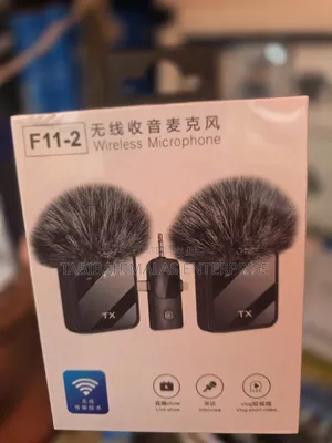 F11-2 Wireless Microphone