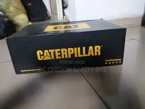 Cat Safety Boot