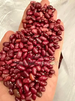 Kidney Beans