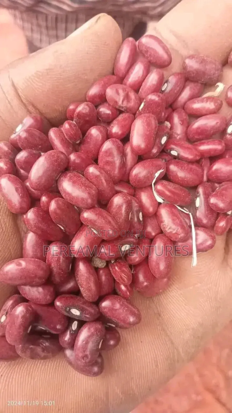 Kidney Beans
