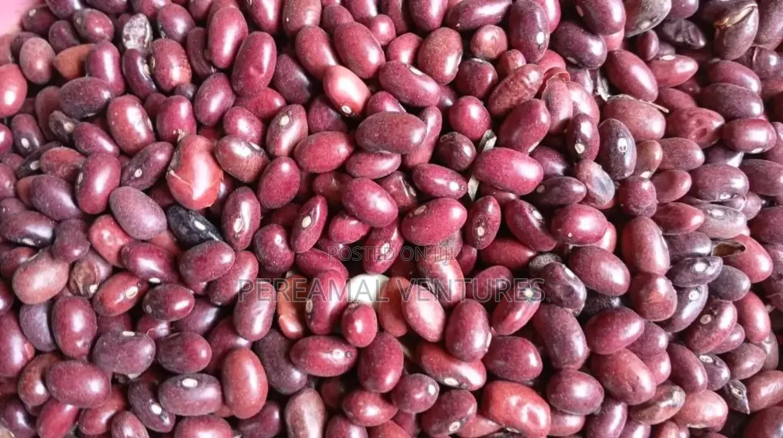 Kidney Beans