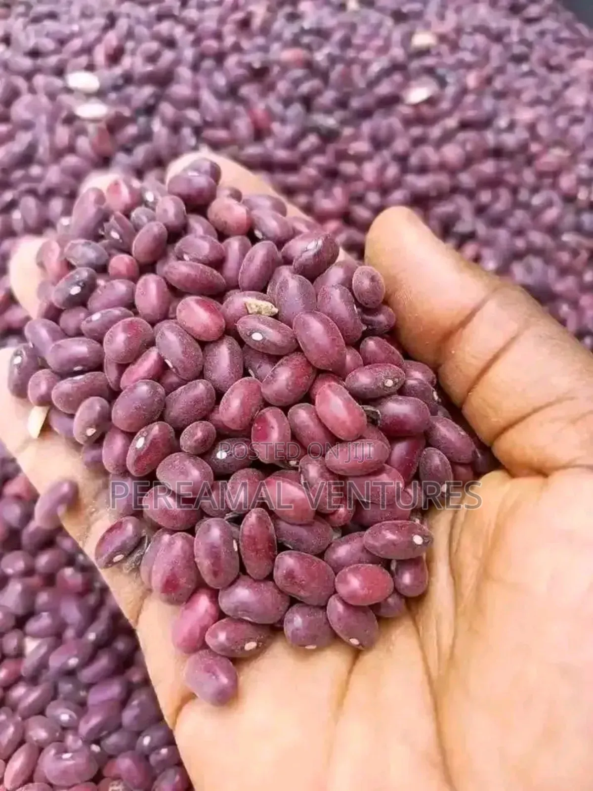 Kidney Beans