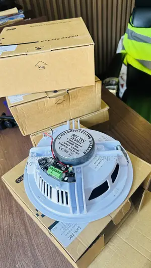 Single Bluetooth Ceiling Speakers Can Be Connected Through Bluetooth