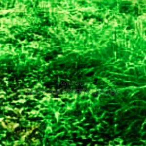 Land Available for Sale at Ikeja