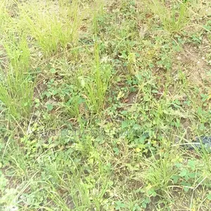 660sqm Land Available at Ajah