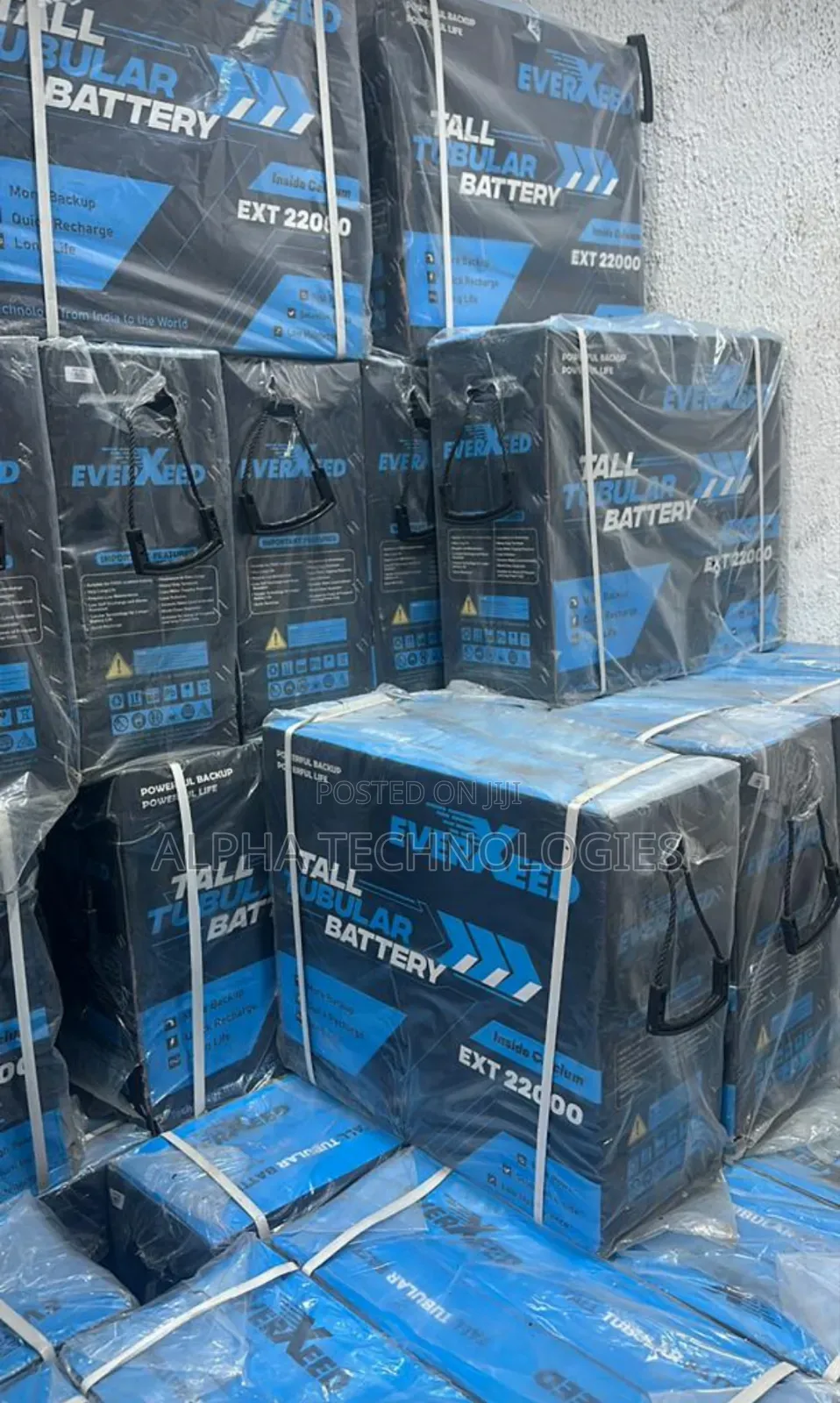 Everxeed 220a Battery