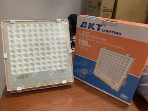 Akt Flood Light 100watts (Electric)