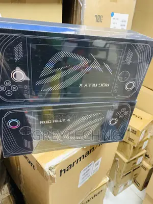 Rog Ally X