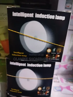 Induction Light