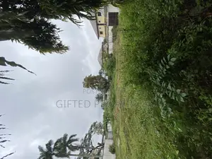 Genuine 2plot of Land Fenced Round With C of O in Gra