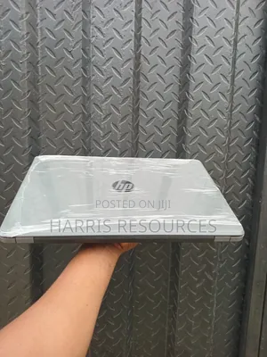 HP iPAQ rw6818 Gray