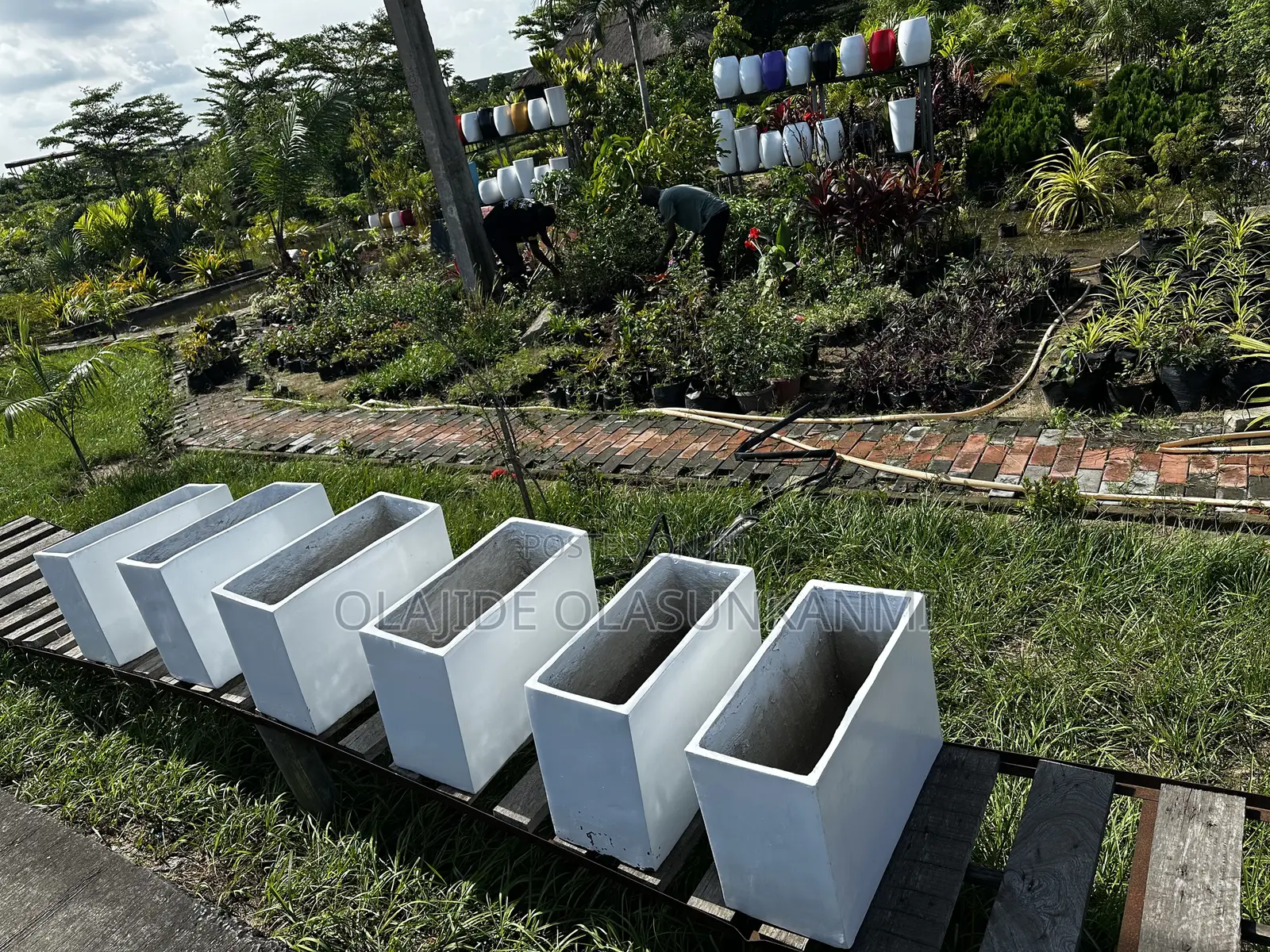 Premium Rectangular Flower Vases