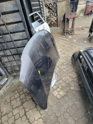 Lexus Rx 350 2013 Model Bonnet Neat One