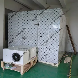 Blast Freezer Coldroom Storage Call Me for Fabrications of All Sizes