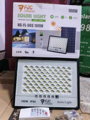 100w Flood Light