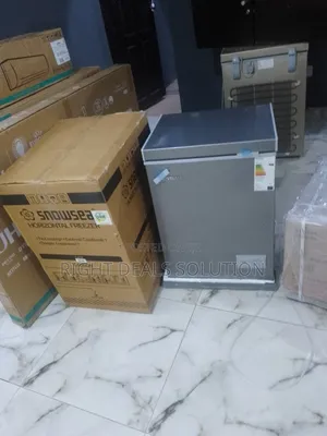 Snowsea Bd108 108l Freezer – Modern Design, Powerful Performance