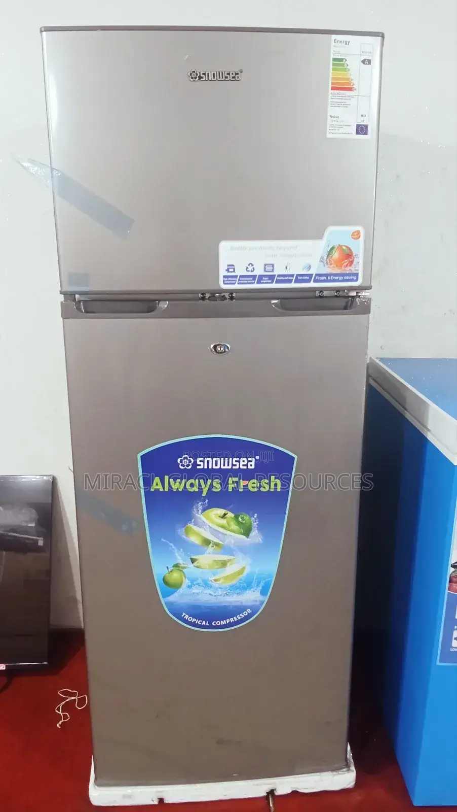 Snowsea Refrigerator 298l