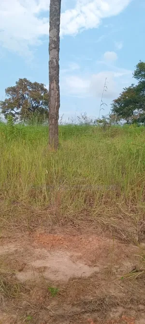 Triveland Residence Ebenebe