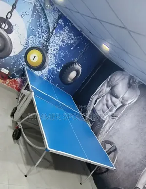 Luxurious Outdoor Table Tennis Board