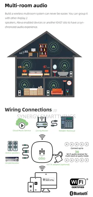 Ieast Olio Audio Receiver/Streamer