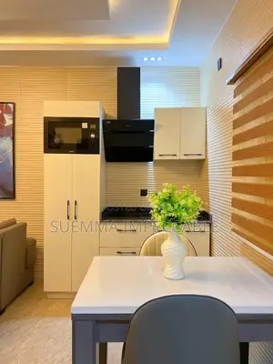 Luxury 1 Bedroom Apartment for Shortlet
