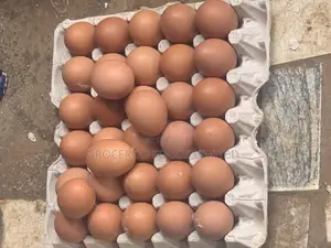 Fresh Farm Eggs (Medium Sizes)