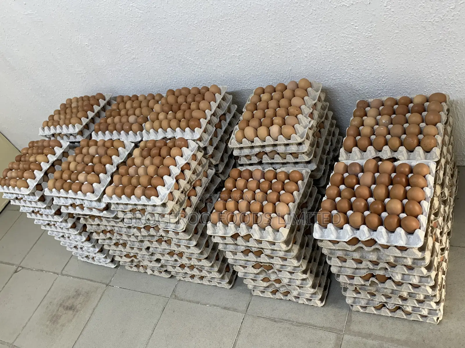 Fresh Farm Eggs (Medium Sizes)
