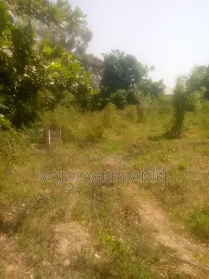 Residential Land (Off Adeniran Memorial School, Odo-ogun, Ogbomoso)