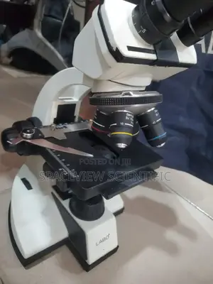 Microscope