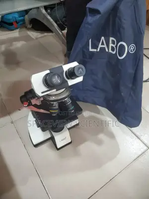 Microscope
