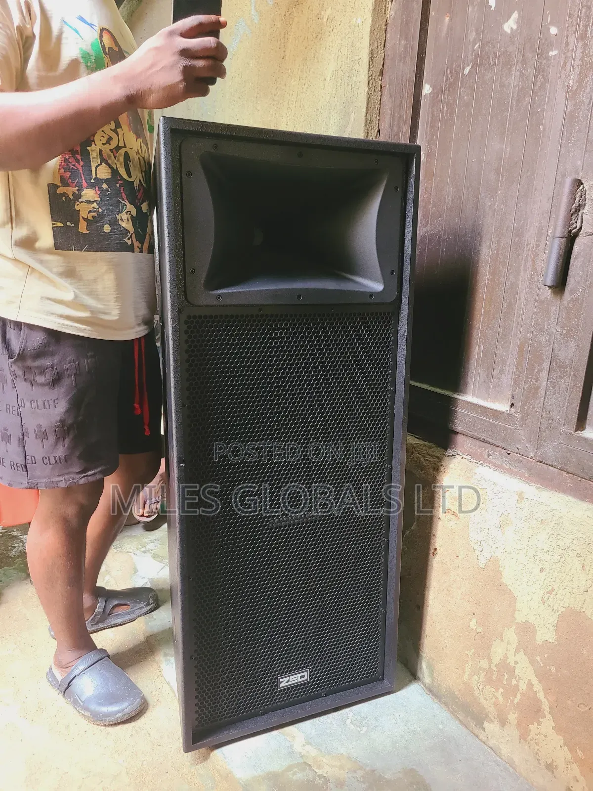 Zed 15inches Double Loudspeaker