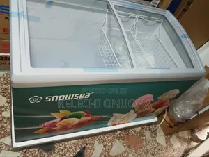 Snow Sea Ice Cream Freezer With Low Voltage