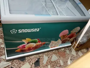 Snow Sea Ice Cream Freezer With Low Voltage