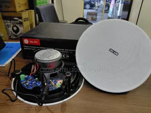 Hi-Fi 100watts Bluetooth Ceiling Speaker