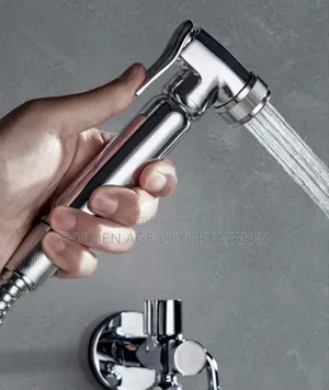 High Quality Stainless Hand Held Shower