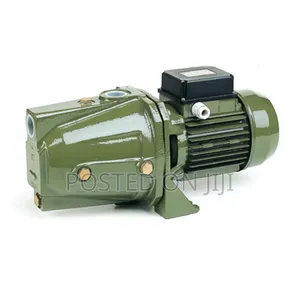 Submersible and Surface Water Pump