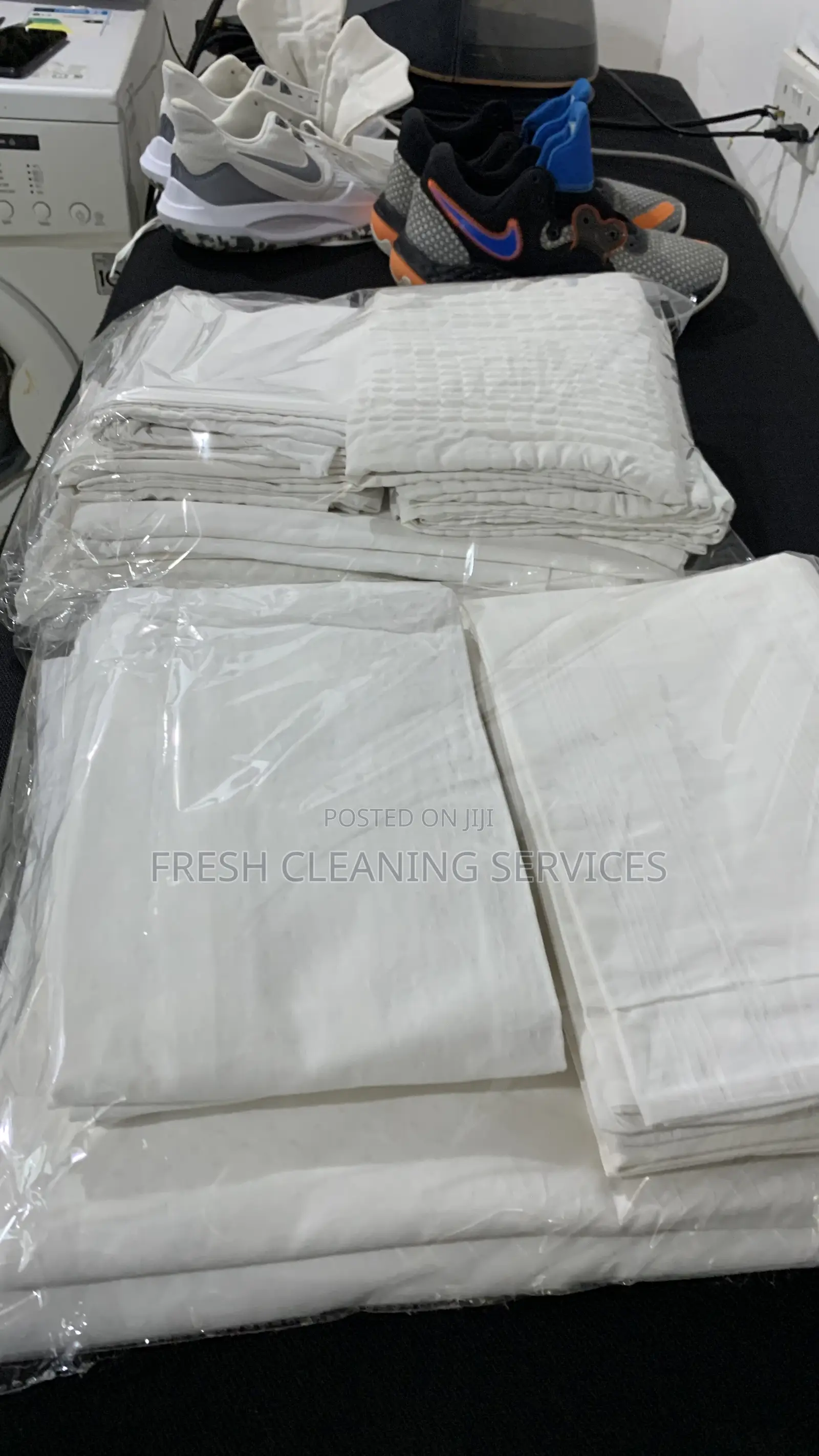 Top-Notch Professional Cleaning Laundry Services