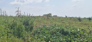 Fenced 15.7ha Apo Tafyi Mixed Used Plot for Sale