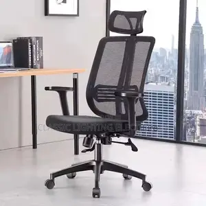 Ergonomic Luxury Office Chair Throne Modern Comfortable Chair