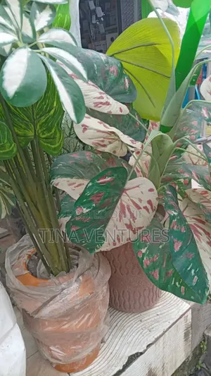 Artificial Flower and Pot Set ( Fine Quality)