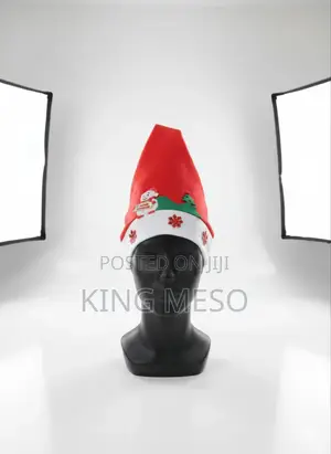 Beautiful Christmas Cap
3600