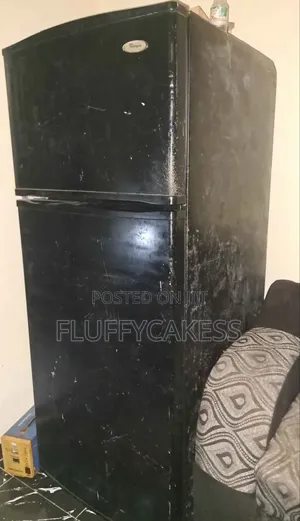 Freezer and Fridge