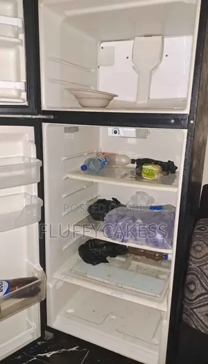 Freezer and Fridge