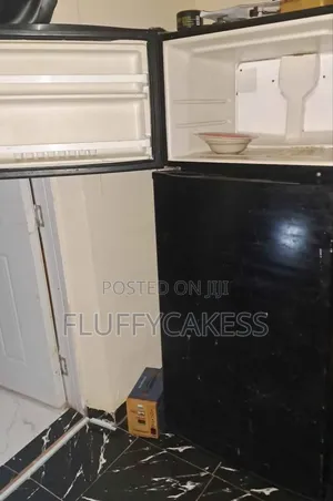 Freezer and Fridge