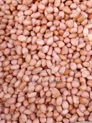Natural Fresh Groundnut, Reach the Seller on What'sup Only.