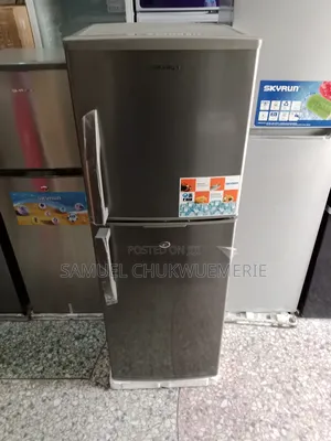 Skyrun Refrigerator Double Door Low Voltage 3years Warranty