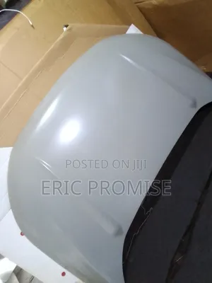 2015-2016-2017 Ford Edge Bonnet