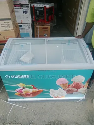 Snowsea Ice Cream Freezer 2years Warranty