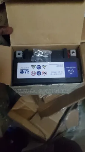 Auxiliary Battery
